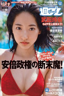 海贼王全彩娜美本子acg